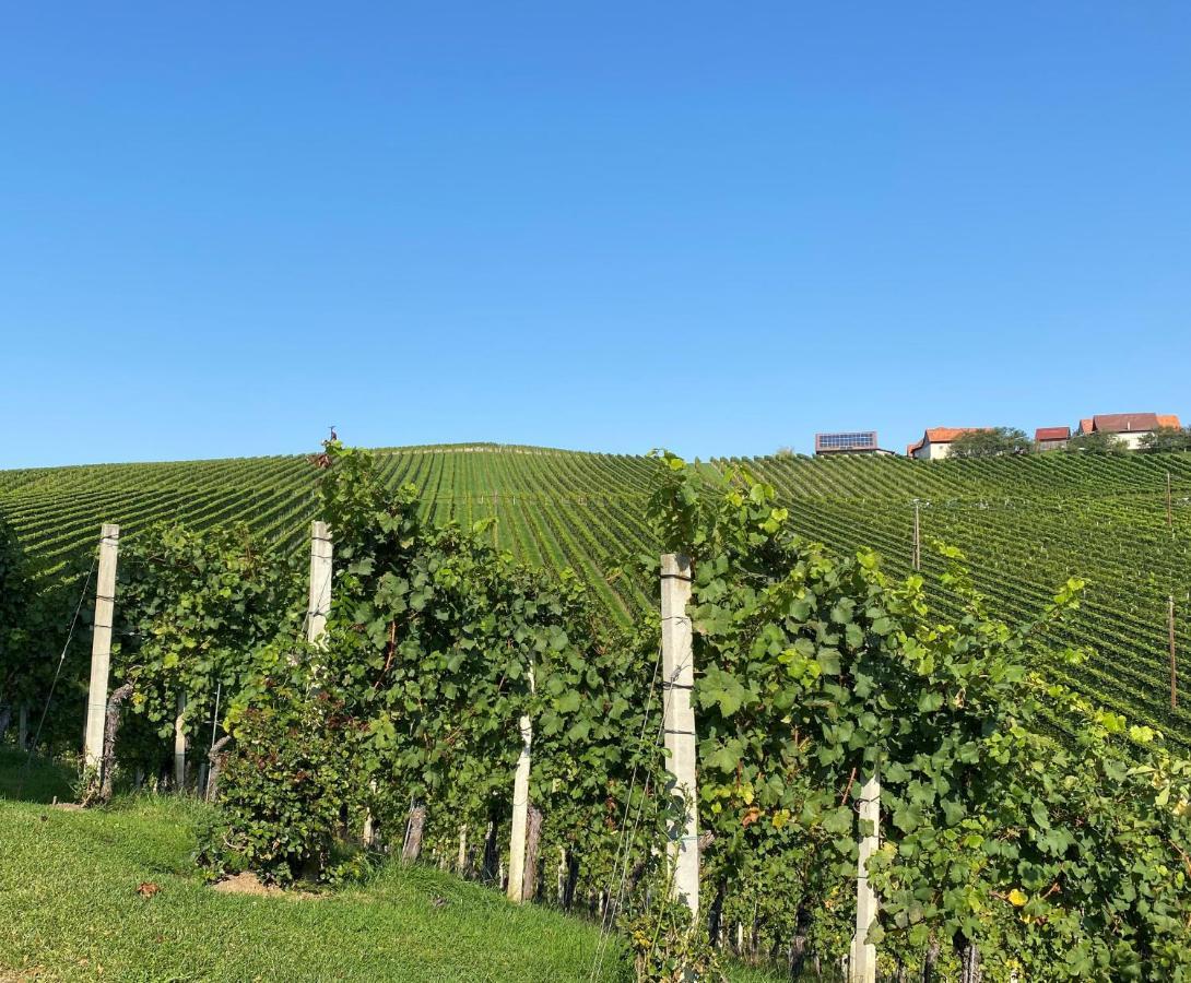 Wein Kultur Apartment Flavia Solva Wagna 외부 사진