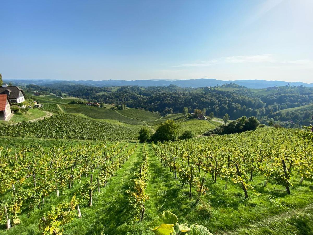 Wein Kultur Apartment Flavia Solva Wagna 외부 사진